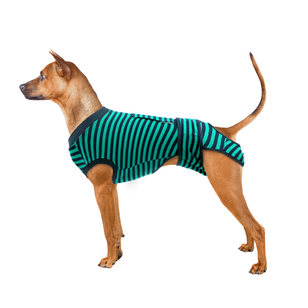 Peach Suitical Recovery Suit for Pet – KUOSER
