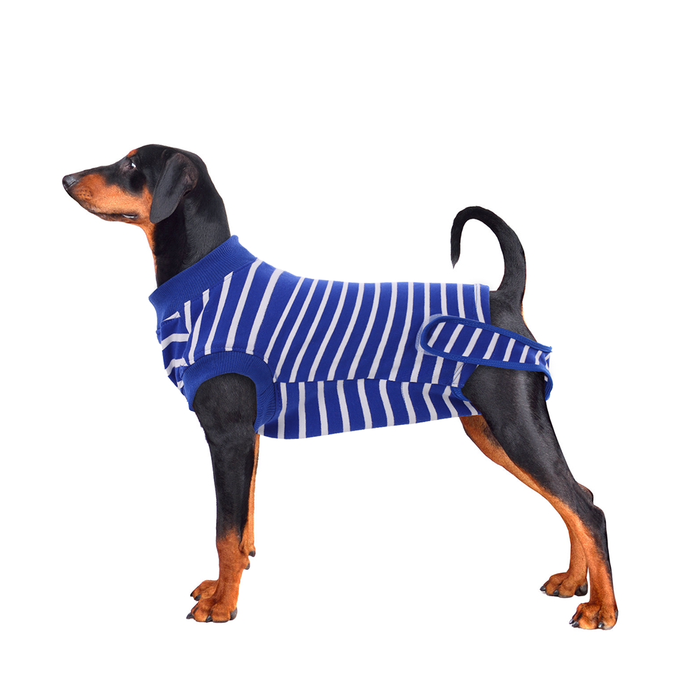 Peach Suitical Recovery Suit for Pet – KUOSER