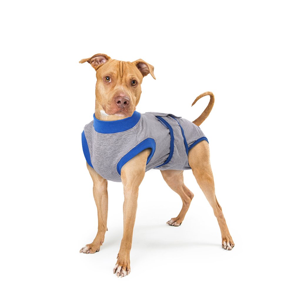 Suitical Recovery Suit Dog – Discover Dogs