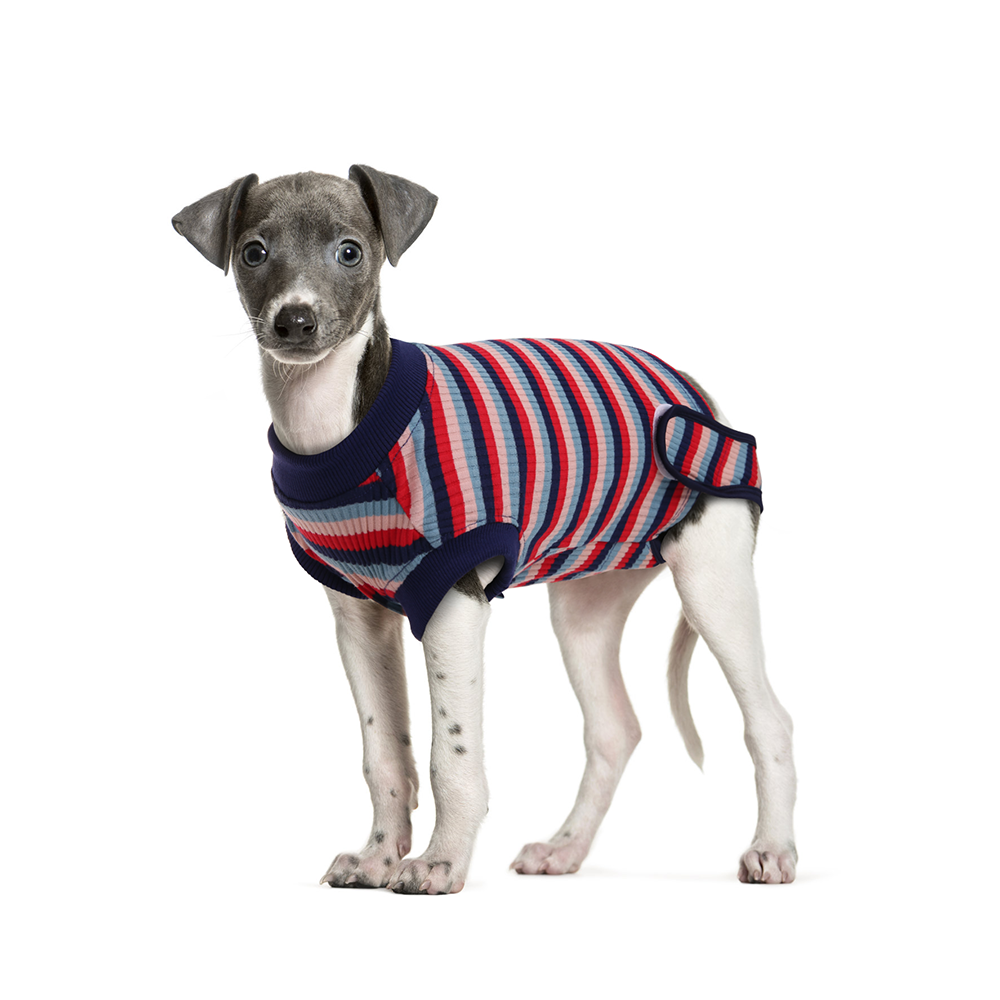 Peach Suitical Recovery Suit for Pet – KUOSER