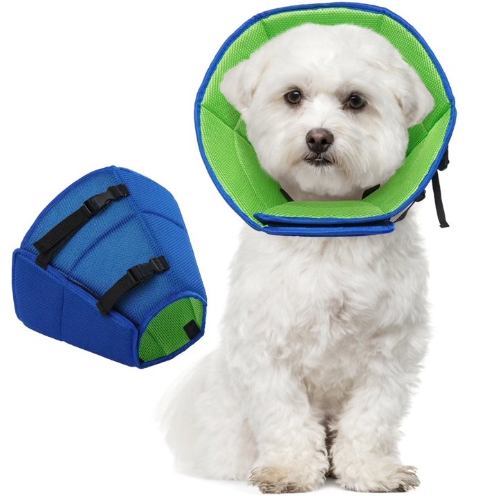 Buy dog cone collar best sale