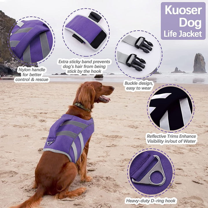 Purple dog life jacket hotsell