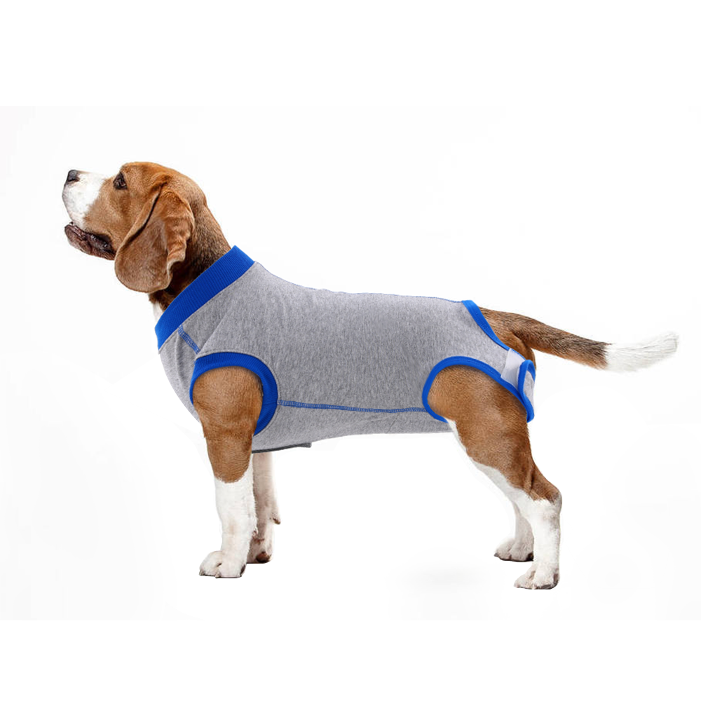 Professional Pet Recovery Suit After Surgery – KUOSER