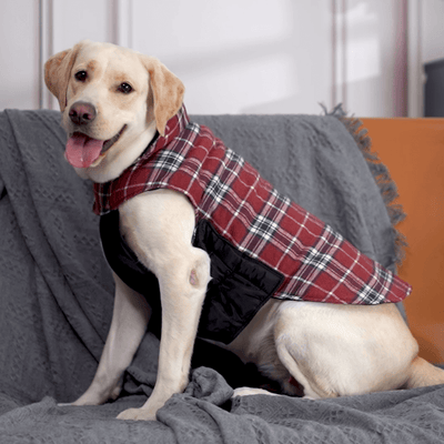 DOG OUTWEAR – KUOSER