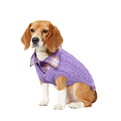Dogior Blue Knit Sweater – KNOX DOGWEAR